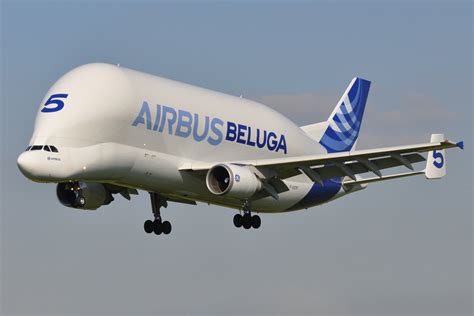 Beluga plane - When you’re traveling by air, finding ways to stay entertained and connected is often essential. Since many people rely on their mobile phones for both of those, it’s common to won...